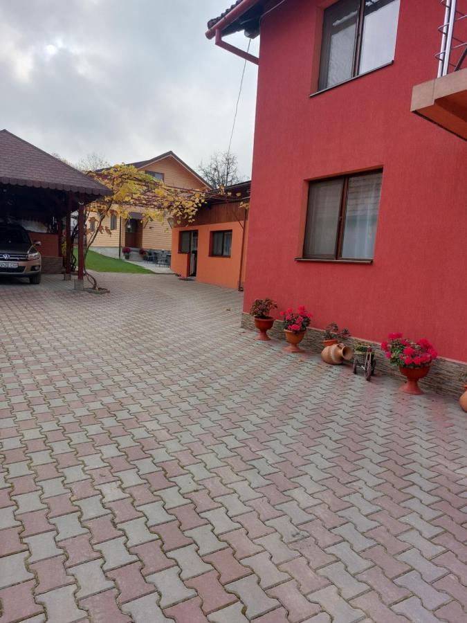 Vila Georgeta Зернешті Екстер'єр фото