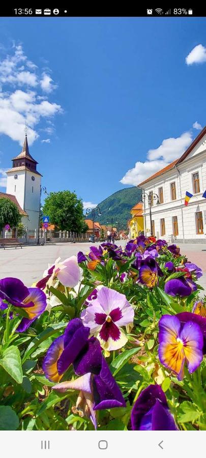 Vila Georgeta Зернешті Екстер'єр фото